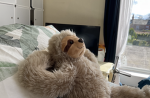 slothandstuff