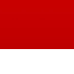 igiverobuxtomybros