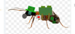 Ant Military