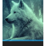 Werewolf legend