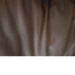 THEGOLDENMASTERRULESYOU