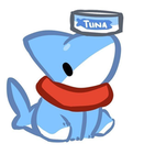 Shark's Corner