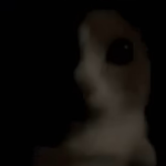 ???? ?? ????