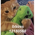 blazes ; dhc