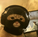Azi_fam