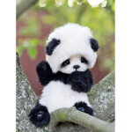 panda says hello