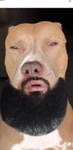 Hamburger cloxezx
