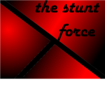 The Stunt Force