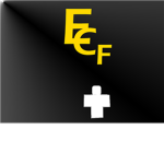 E.C.F. extreme championship fighting