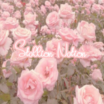 Stallion Nation
