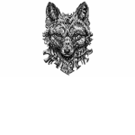 TheEpicSquirrel83!