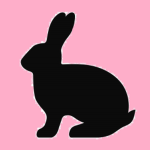 Rabbits' Home