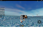 Niky_polar _team