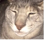 Butt Loafers Group Thumbnail