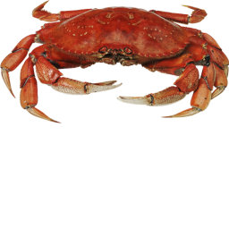 Crab Training [PRE-ALPHA]