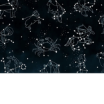 ~zodiac apparel~