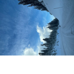 Hi please join me group!