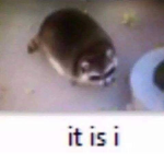 ss03