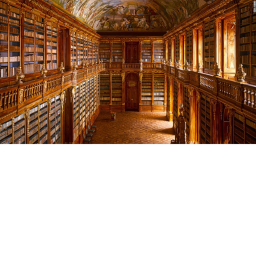 The Library