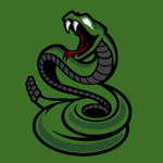 Python Academy