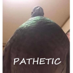 PIGEON HOOD