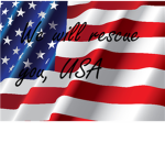 The Rebellion (Of the USA)
