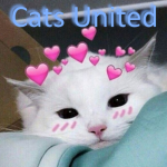 Formal Cats United