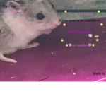 RAT BADDIE’S