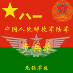PLAIB |Infantry Brigade