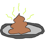 after the poop