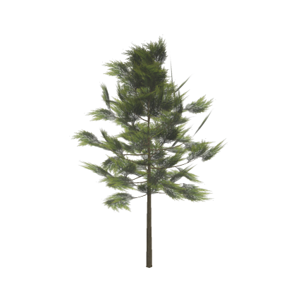 [✨💫] Realistic Tree (Mesh) Pack Trees Pine