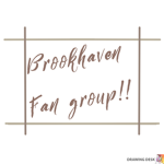 Brook haven group