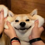 Gift Roblox