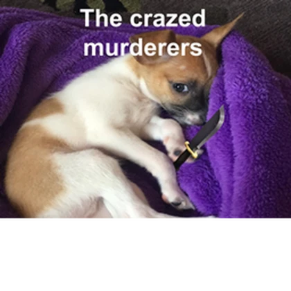 The Crazed Murderers Roblox group icon