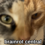 THE BRAINROT CENTRAL