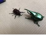 オダケン
