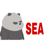 Seattle Bears