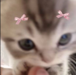Cuties_squad!