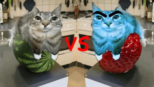 watermelon cats VS strawberry cats