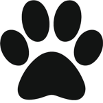 Purrfect Entertainment