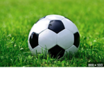 SOCCER ALL DAY GROUP