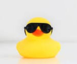 Superducky UGC