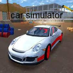 (new) car simulator