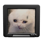 TV Cat 2000