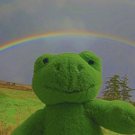 ~Frogyland~