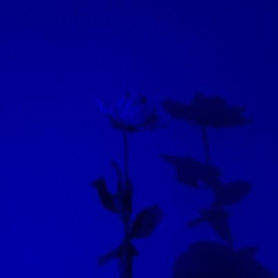 without