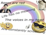 Funny kawaii cupcakes unicorns and rainbows 🌈 and