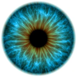 B5Midge : Remastered icon