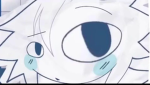 Phoenix’s Small Fennec Foxes