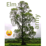 Elm Army